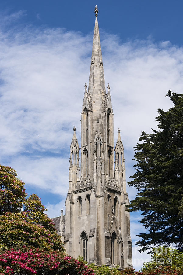 Presbyterian Church Steeple in Dunedin Photograph by Bob Phillips