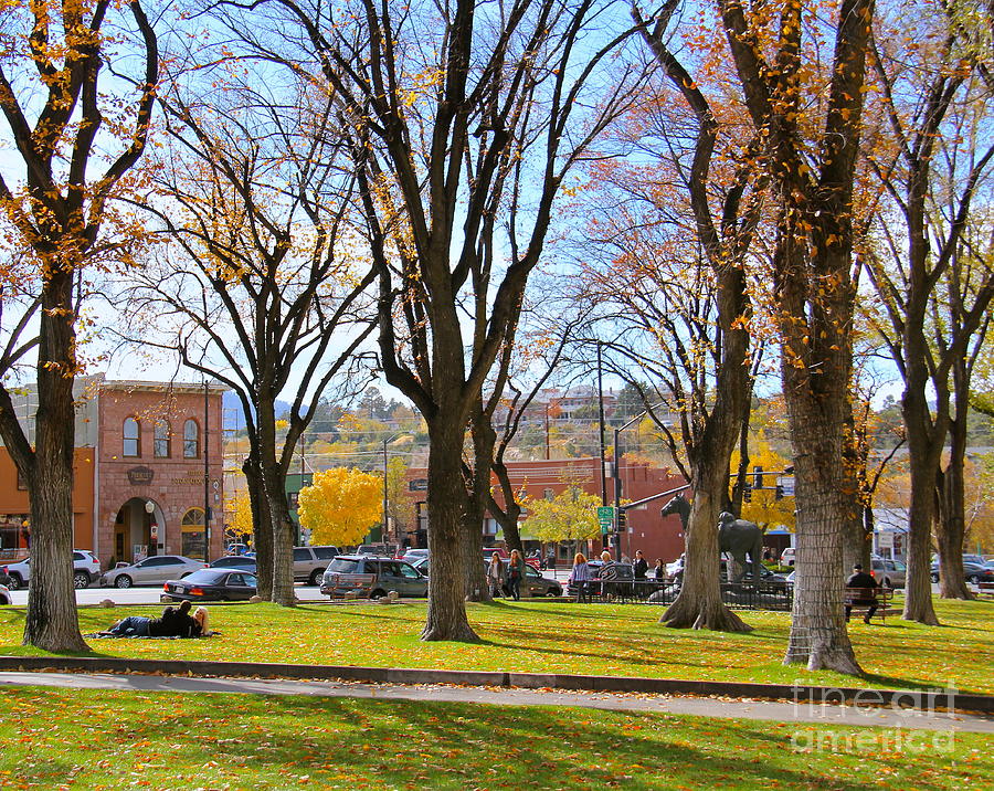 Tree Photograph - Prescott in the Fall by Suzanne Oesterling