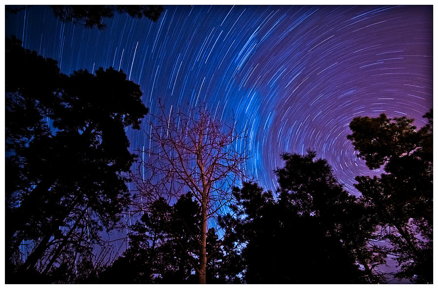 Prescott Stars Photograph by Nicholas Miller - Fine Art America