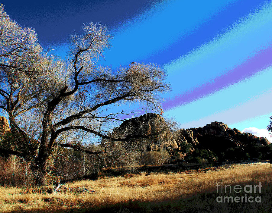 Prescott Tree Photograph by Larry Oskin