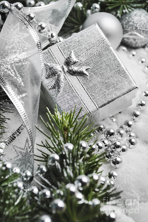 Christmas Present #4 Photograph by Jelena Jovanovic
