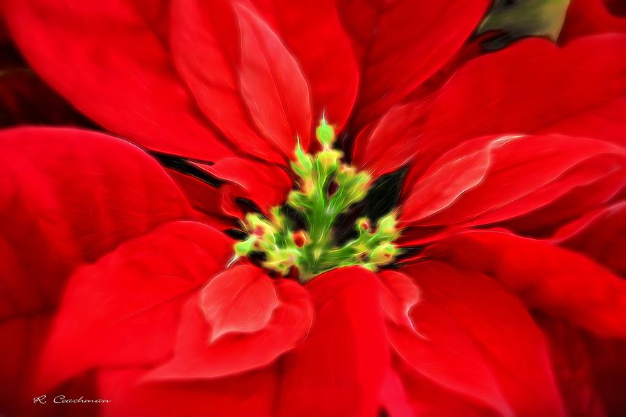 Presenting Poinsettia Painting by Renette Coachman