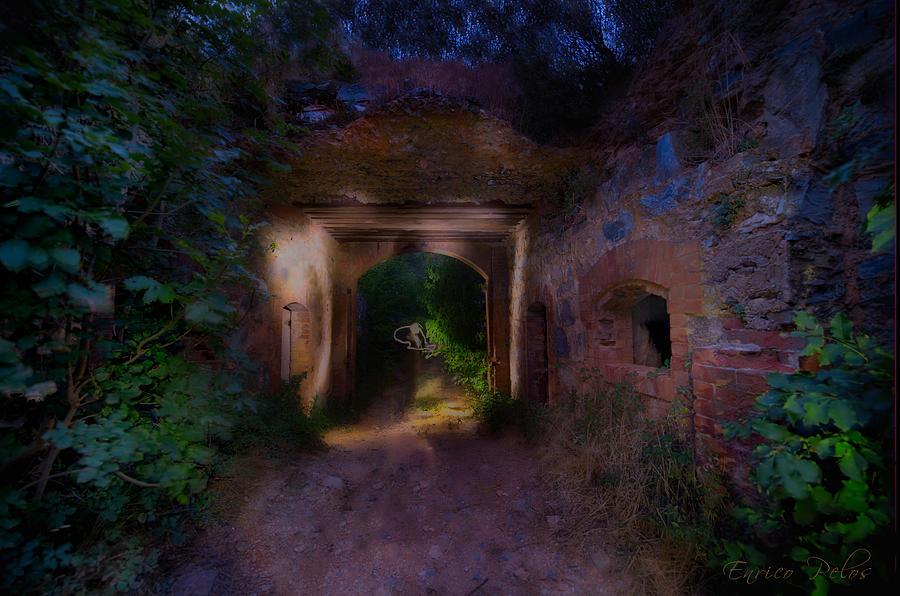 PRESENZE ... al forte abbandonato di rocca liverna Photograph by Enrico Pelos