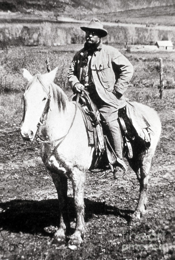President Theodore Roosevelt Riding Photograph by NPS Photo