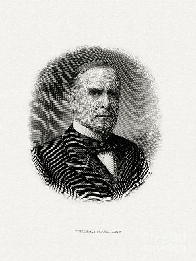 Mckinley Painting - President William McKINLEY by Celestial Images