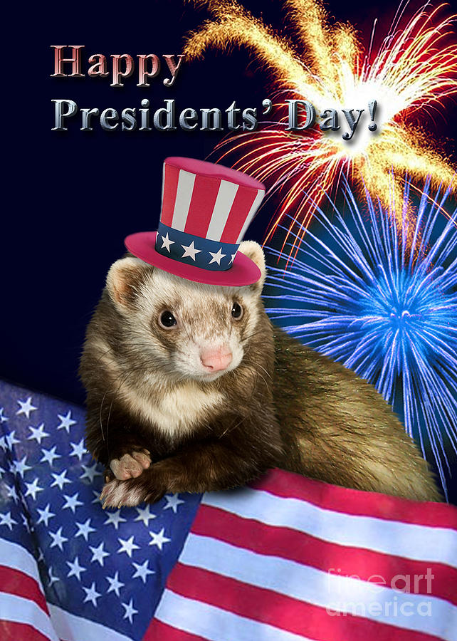 Nature Photograph - Presidents Day Ferret by Jeanette K