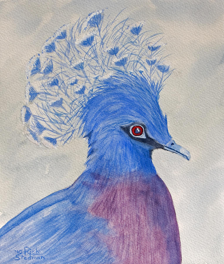 Preston Pigeon Painting by Richard Stedman