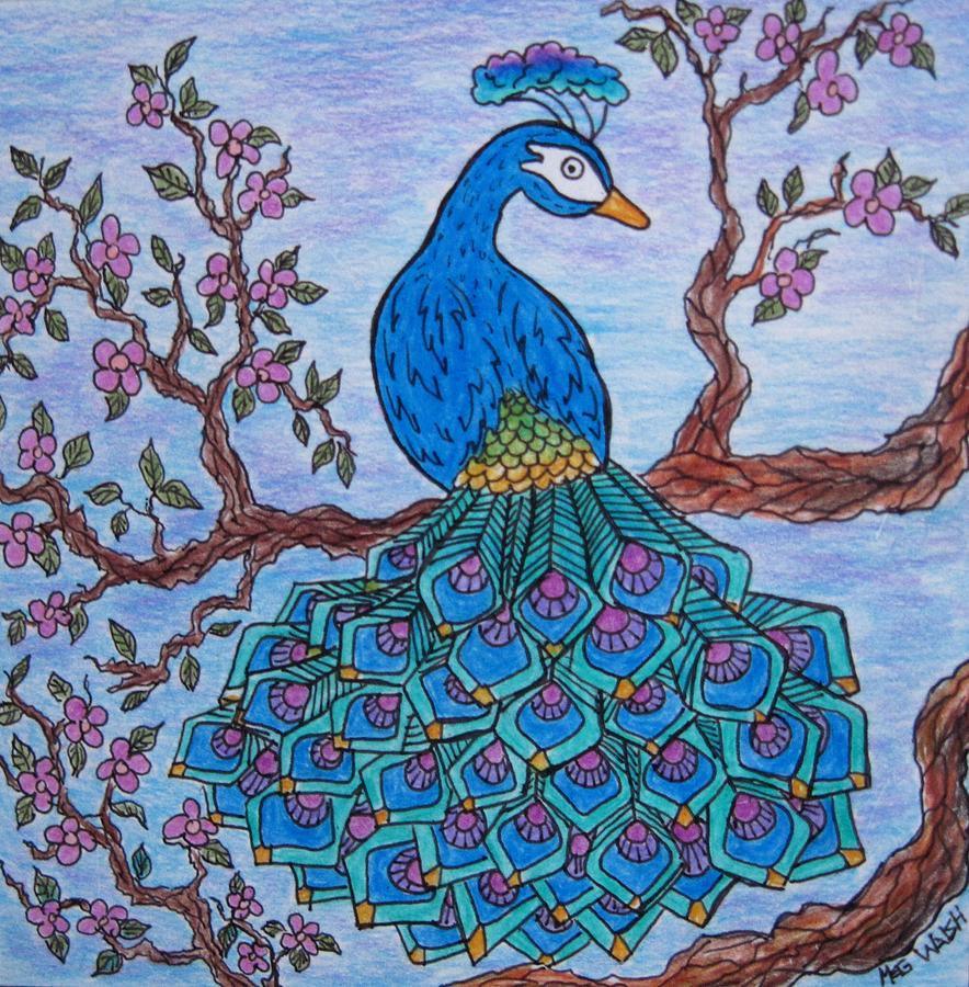 Pretty as a peacock Drawing by Megan Walsh