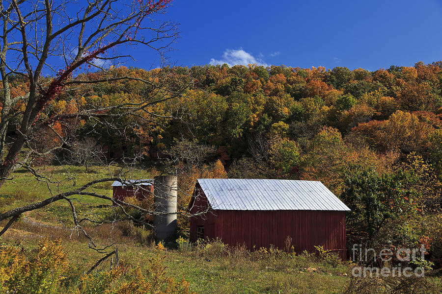 Pretty Barn Photograph by Jill Lang
