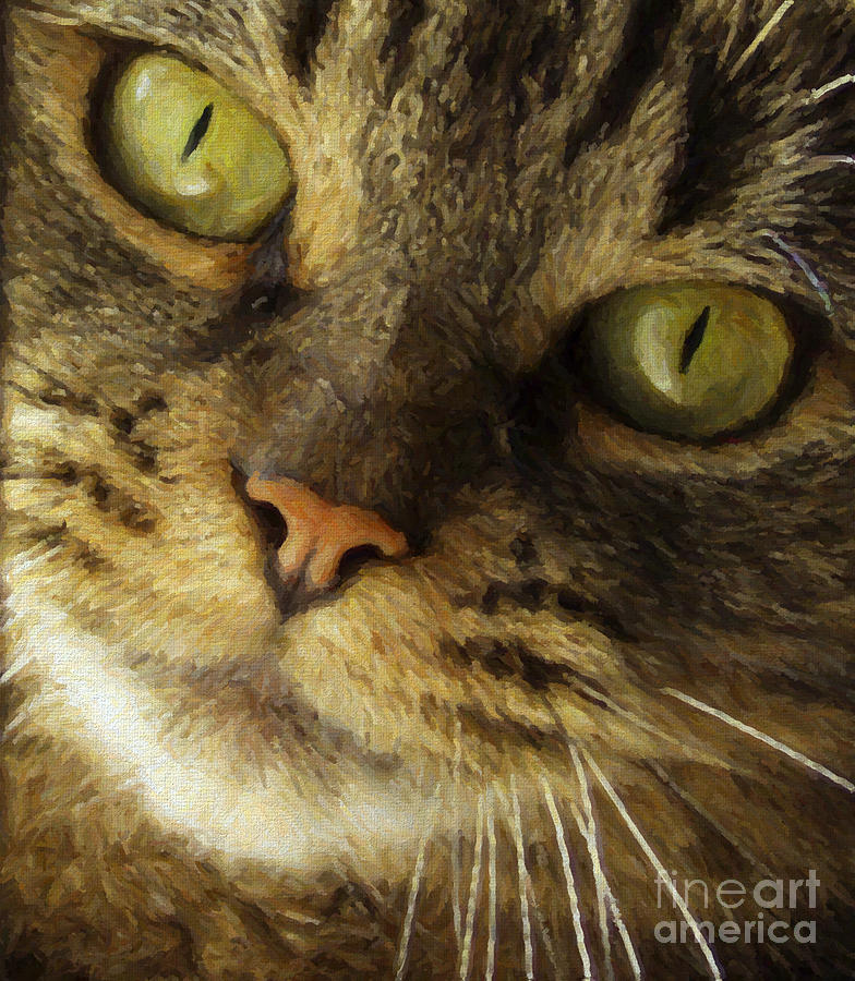 Pretty Cat Face Photograph by Diane Diederich