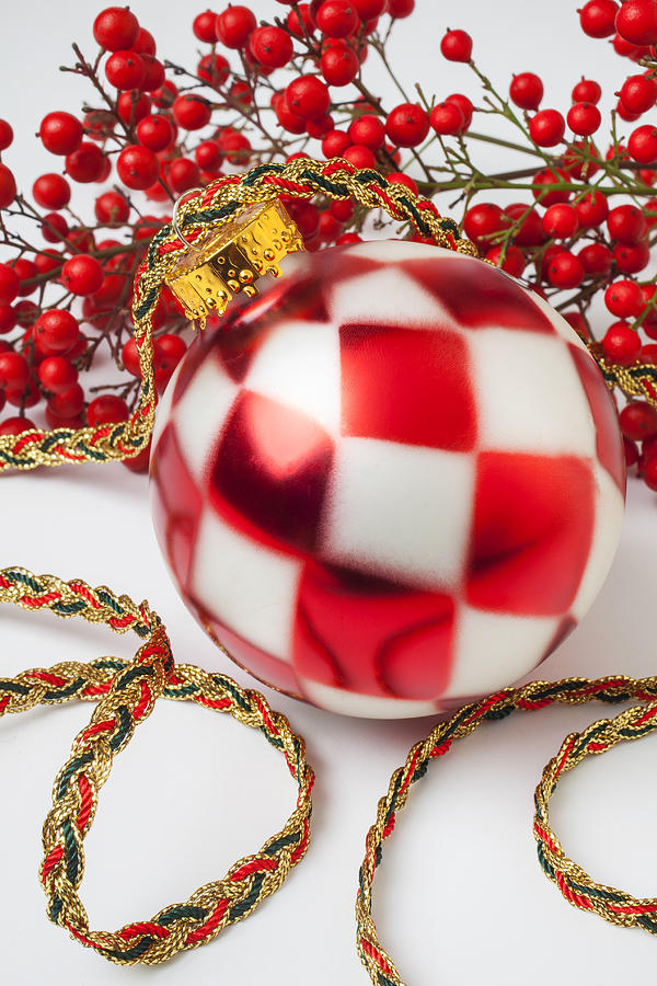 Pretty Christmas Ornament Photograph by Garry Gay