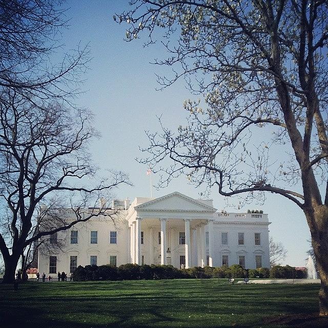 Pretty Day For A Quick White House Photograph by Chris Morgan