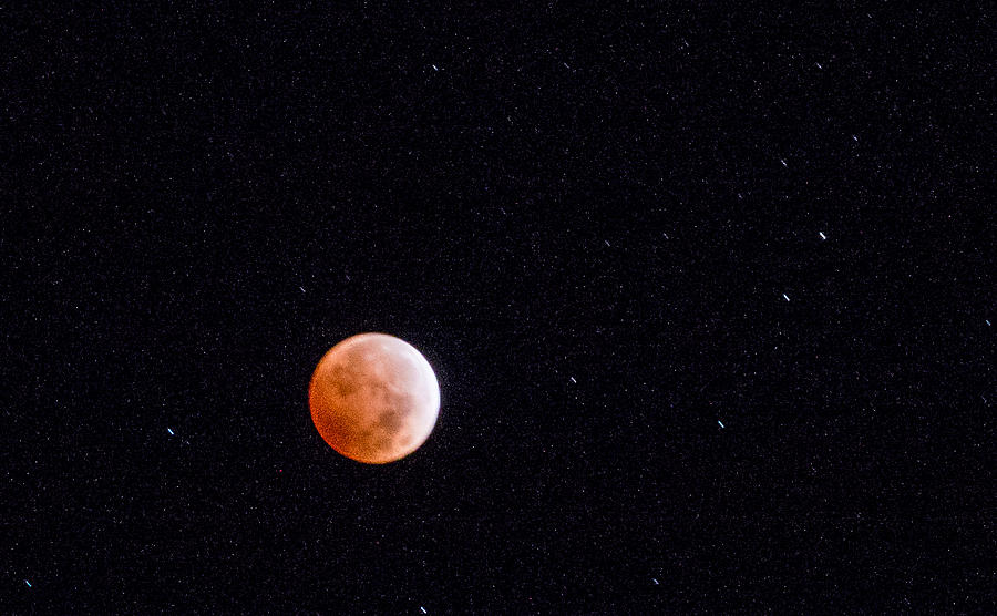 Pretty Face On A Blood Moon Photograph