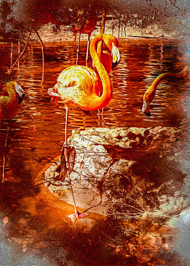Pretty Flamingo Digital Art by Janice OConnor