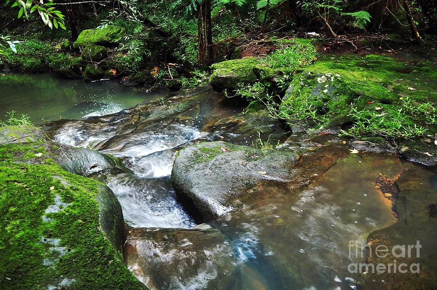 Pretty Green Creek Photograph by Kaye Menner