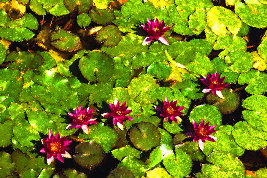 Pretty in Fuchsia - Waterlily Pad Impression Digital Art by Georgia Mizuleva