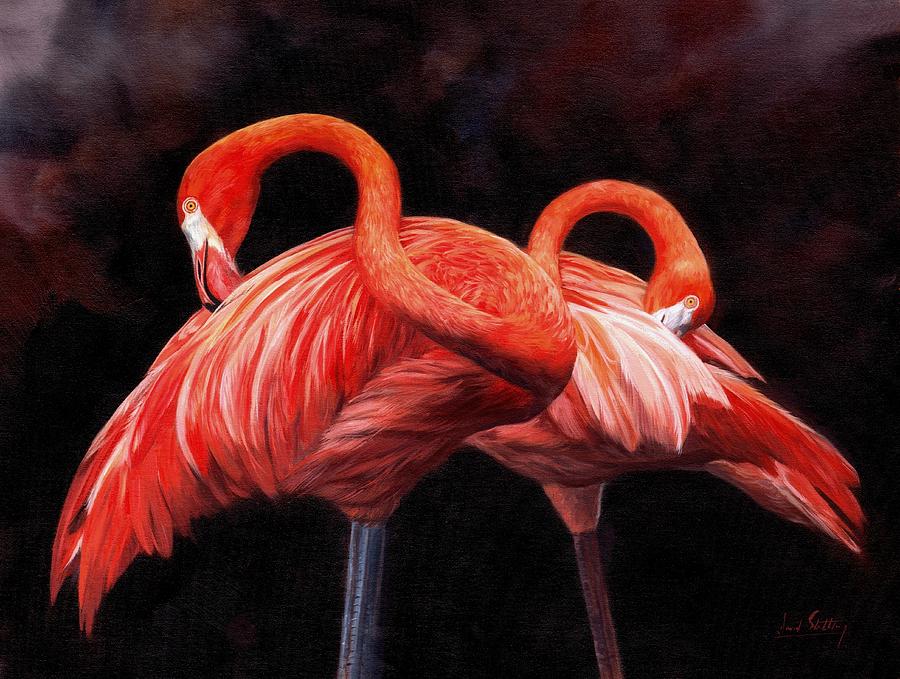 Bird Painting - Pretty in Pink by David Stribbling