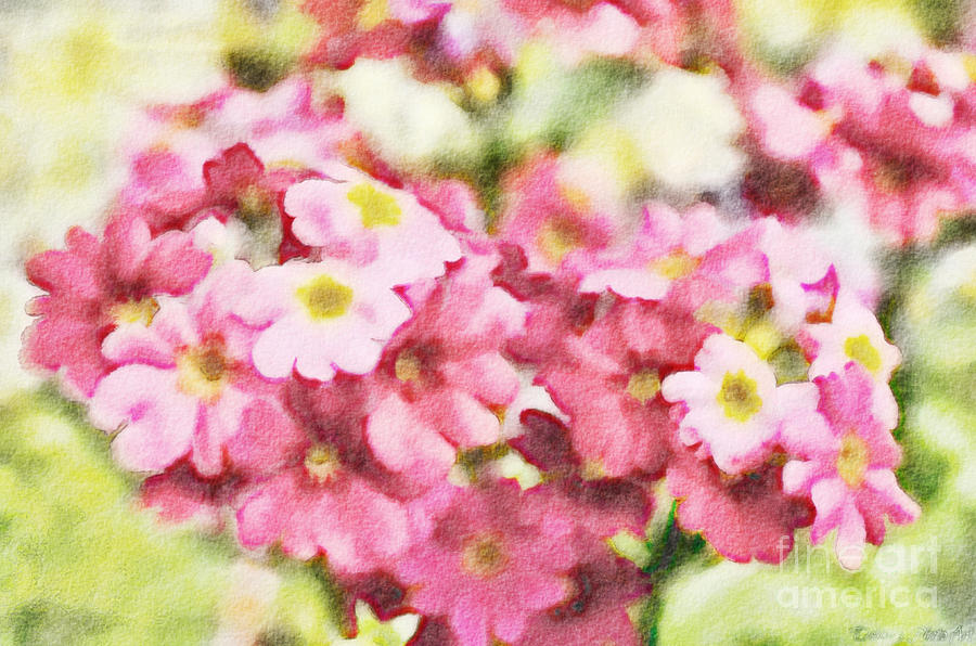 Pretty in Pink Flowers - Digital Paint II Photograph by Debbie Portwood