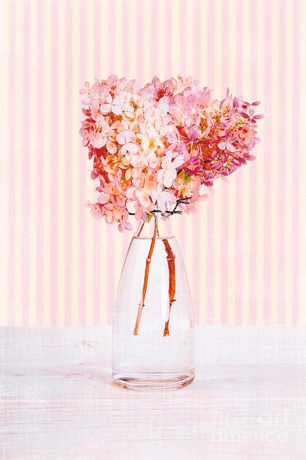 Flower Photograph - Pretty in Pink Flowers by Edward Fielding