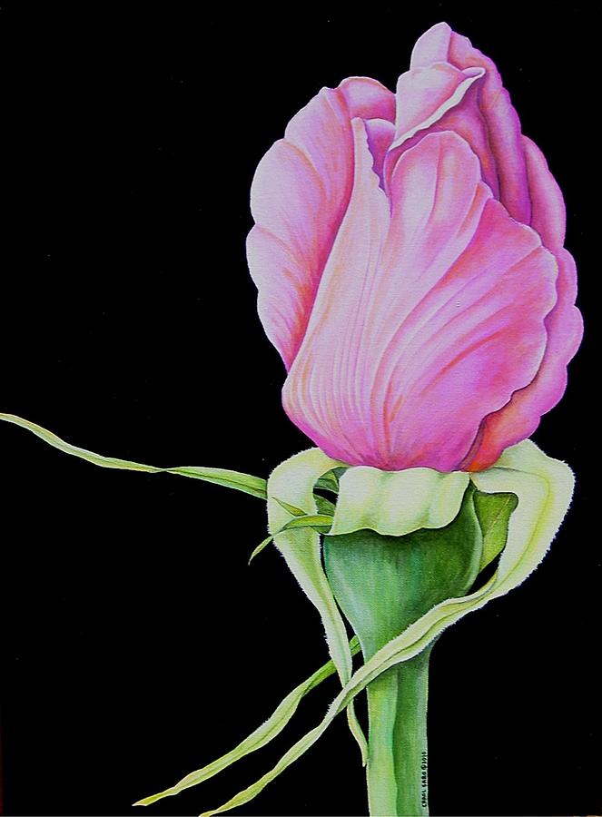 Pretty In Pink Rose Bud Painting by Carol Sabo