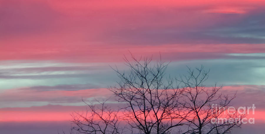 Nature Photograph - Pretty In Pink Sunrise by Charlie Cliques