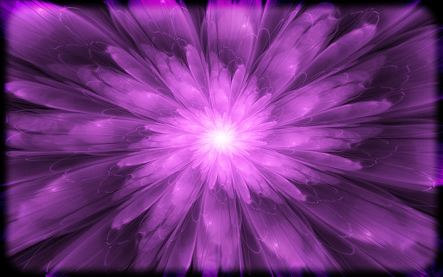 Pretty in Purple Digital Art by Rhonda Barrett