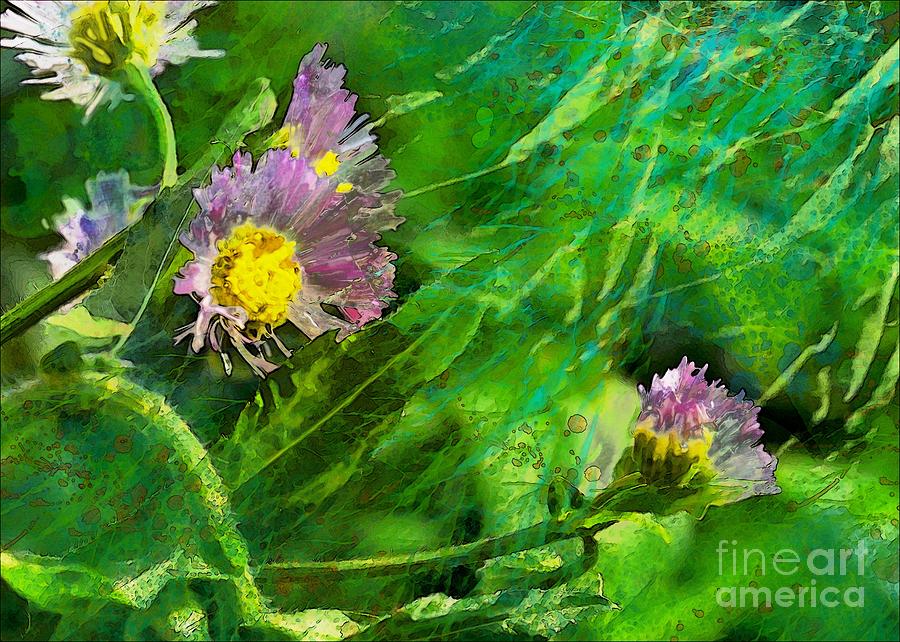 Pretty Little Weeds Photoart Photograph by Debbie Portwood