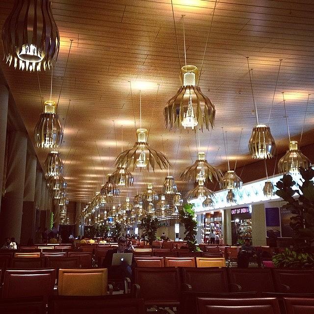 Pretty Lotus Lamps At T2! Photograph by Sneha  U
