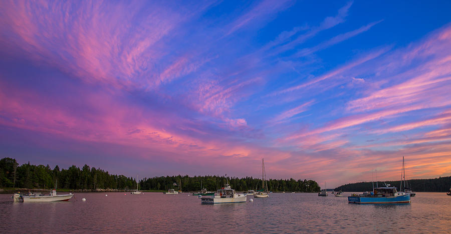 Pretty Marsh Harbor Maine Photograph