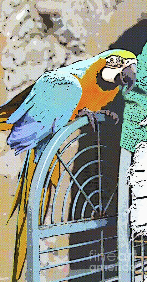 Pretty Polly Digital Art by Diane Macdonald