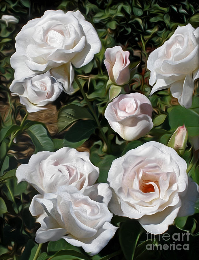 Rose Photograph - Pretty Rose Garden by Kaye Menner