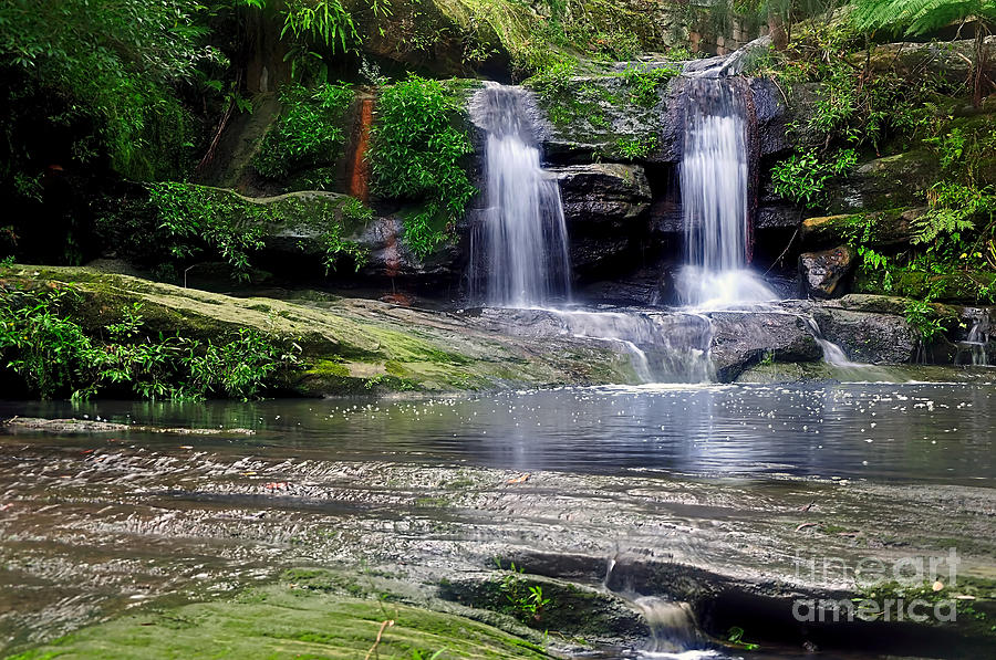 Waterfall Photograph - Pretty Waterfalls in Rainforest by Kaye Menner