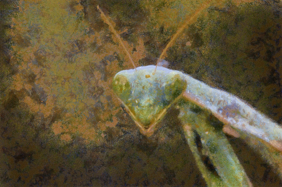 Praying Mantis #2 Digital Art by Roy Pedersen
