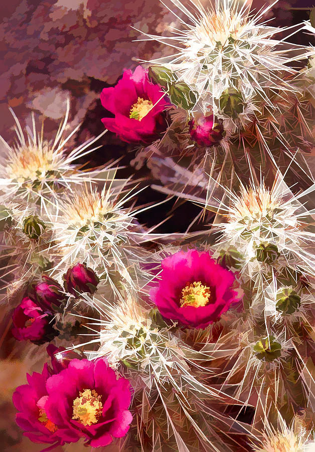 Desert Painting - Prickley Cactus Plants by Elaine Plesser