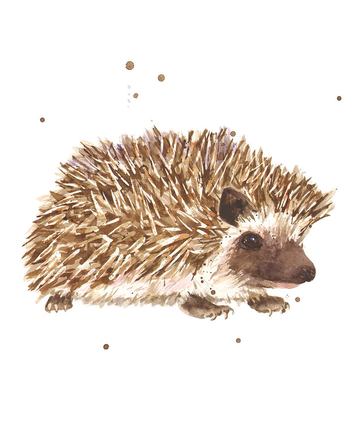 Hedgehog Painting - Prickly Paul by Alison Fennell