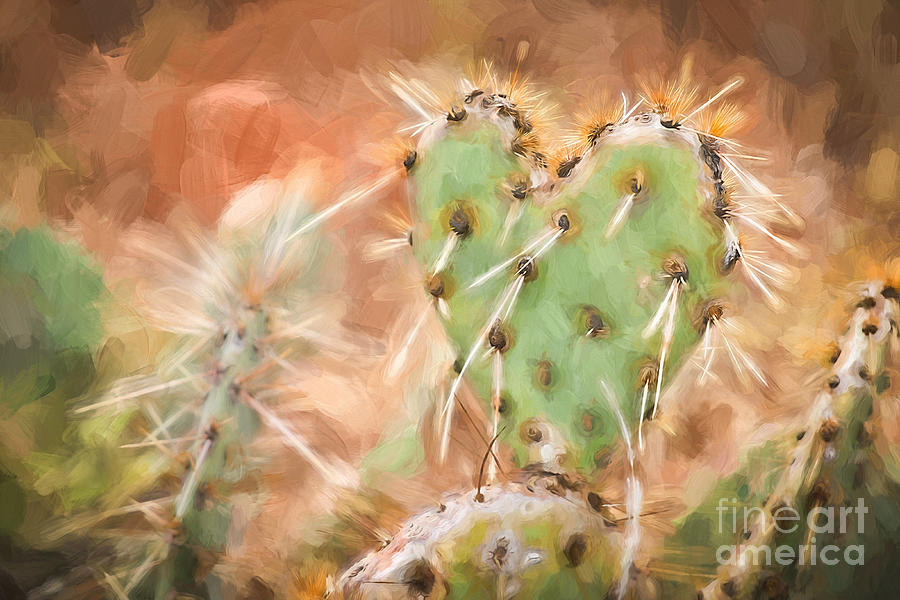 Prickly Pear Heart Photograph by Marianne Jensen