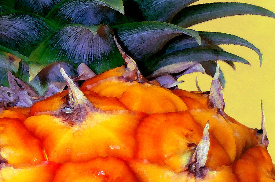 Prickly Sweet Hawaiian Pineapple Photograph by James Temple