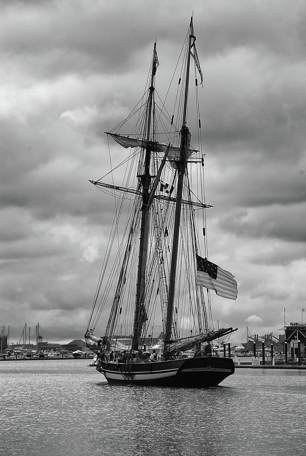 Pride of Baltimore Photograph by Guy Whiteley