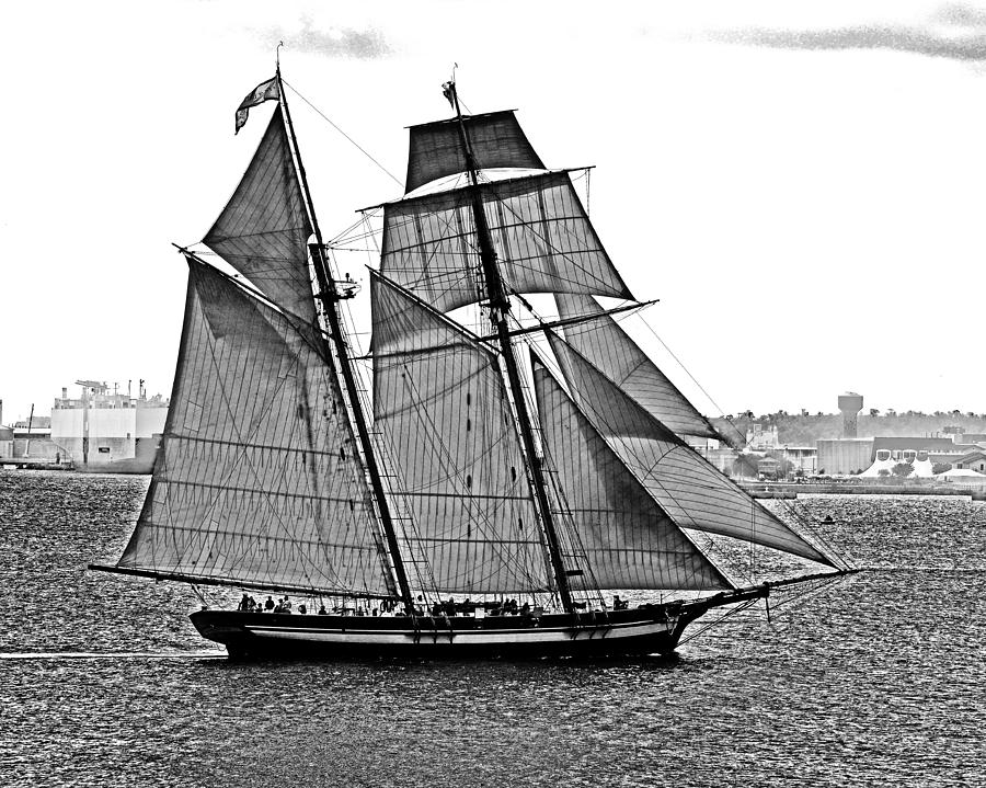 Pride of Baltimore II Black and White Photograph by Bill Swartwout
