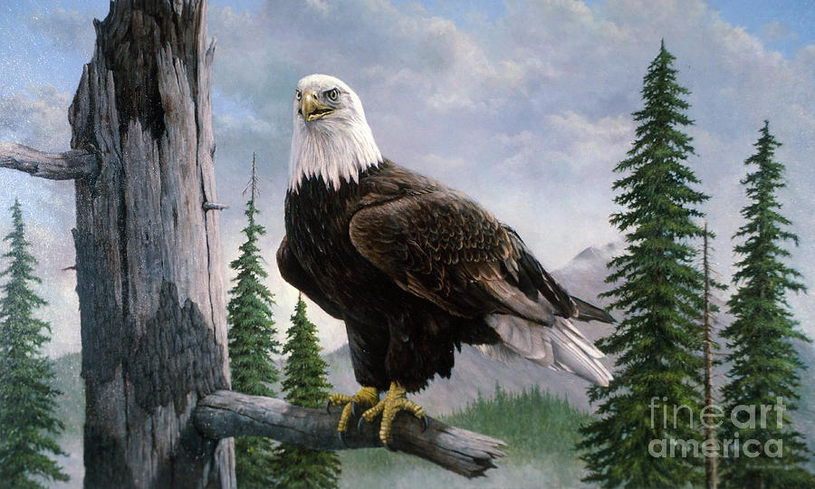 Eagle Painting - Pride by Richard Hauser