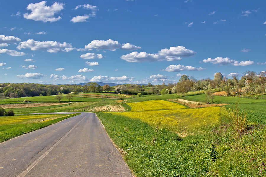 Prigorje region spring lanscape road Photograph by Brch Photography