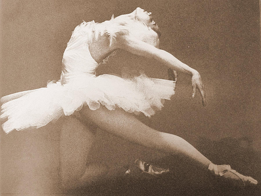 Prima Ballerina Photograph By Ercole Beltramini 