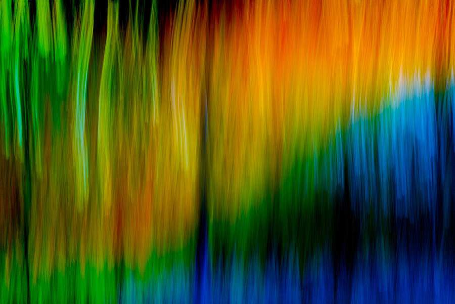 Primary rainbow Photograph by Darryl Dalton