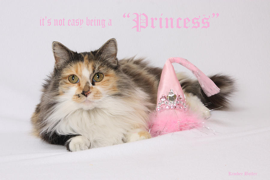 Princess Photograph by Kimber  Butler