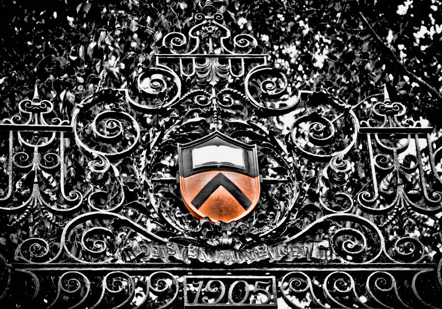 Princeton University Shield Photograph by Colleen Kammerer