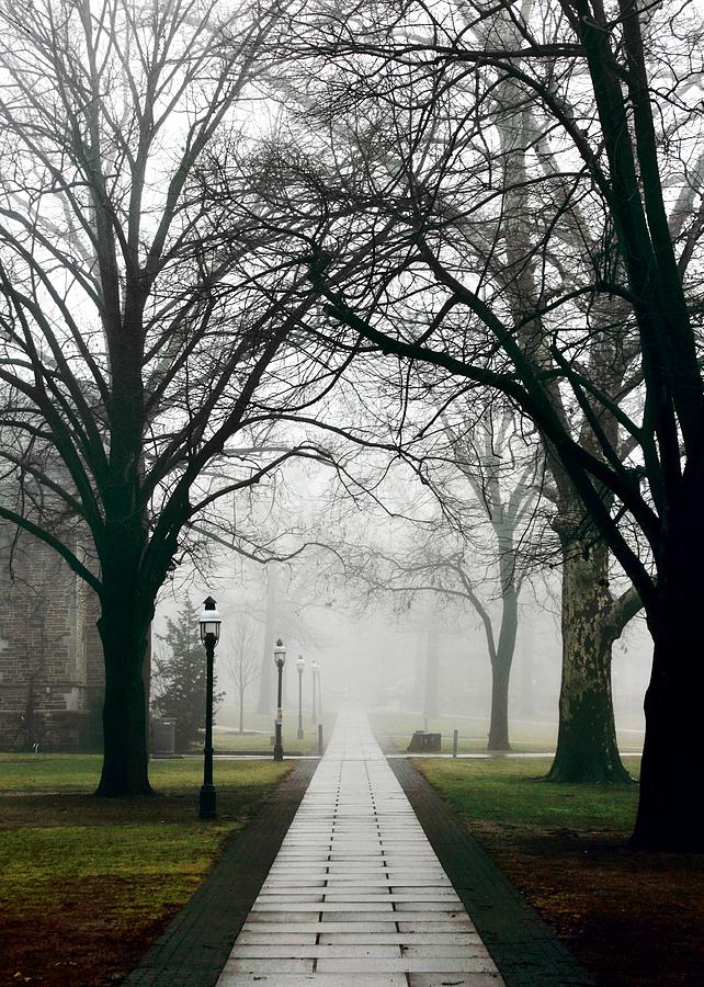 Princeton University Photograph - Princeton Walk by Benjamin Yeager