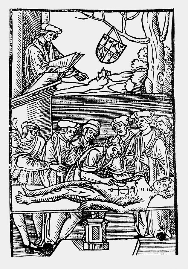 Print Of A 15th Century Dissection Lesson Photograph by Science Photo Library