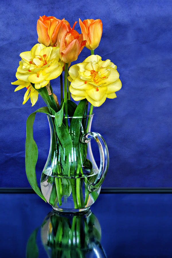 Tulip Photograph - Printemps Provencal by Nikolyn McDonald