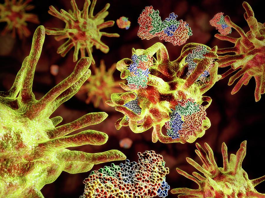 Prions Destroying Dendritic Cells Photograph by Medi-mation/science Photo Library
