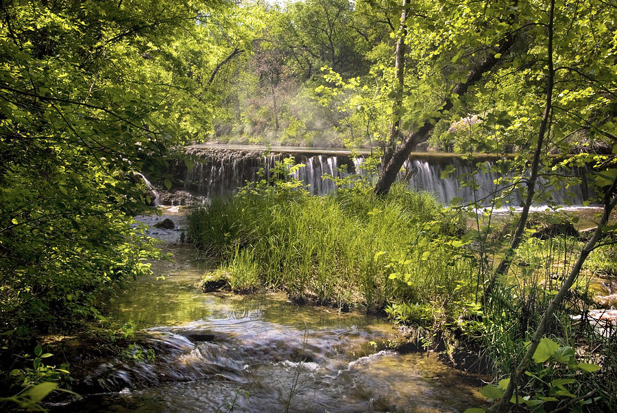 Nature Photograph - Pristine Forest Stream by Cindy Rubin